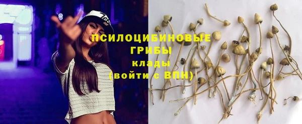mix Снежногорск