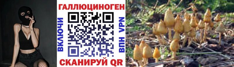Галлюциногенные грибы мицелий  гидра ссылка  Выкса  даркнет сайт 